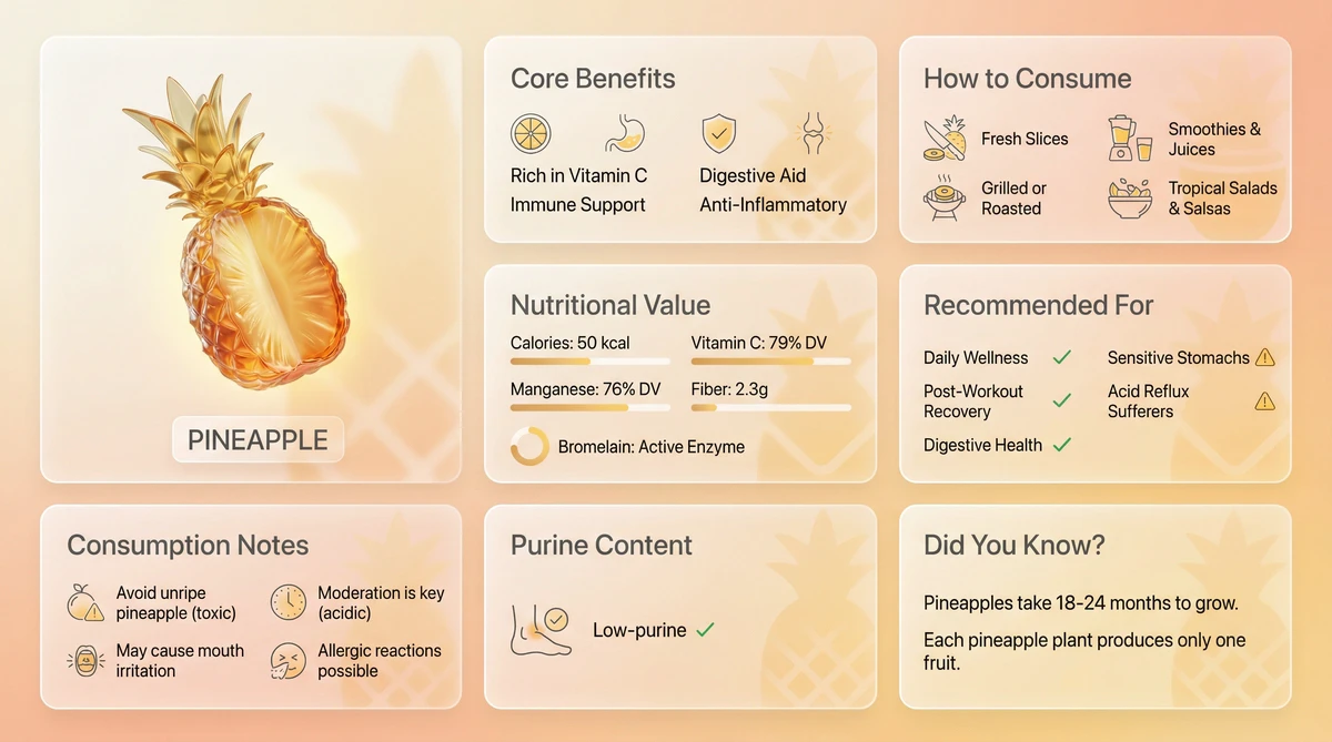 Pineapple Bento Grid Showcase