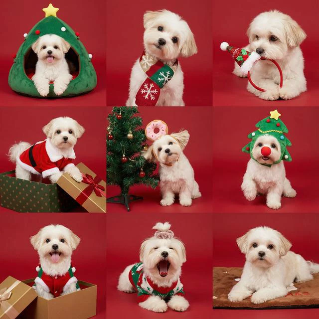 Christmas Pet Collage