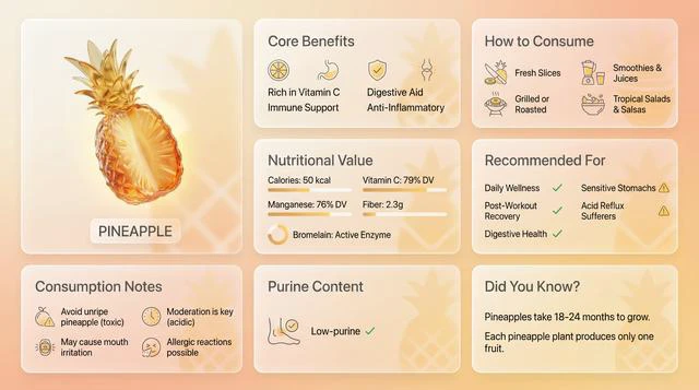Pineapple Bento Grid Showcase
