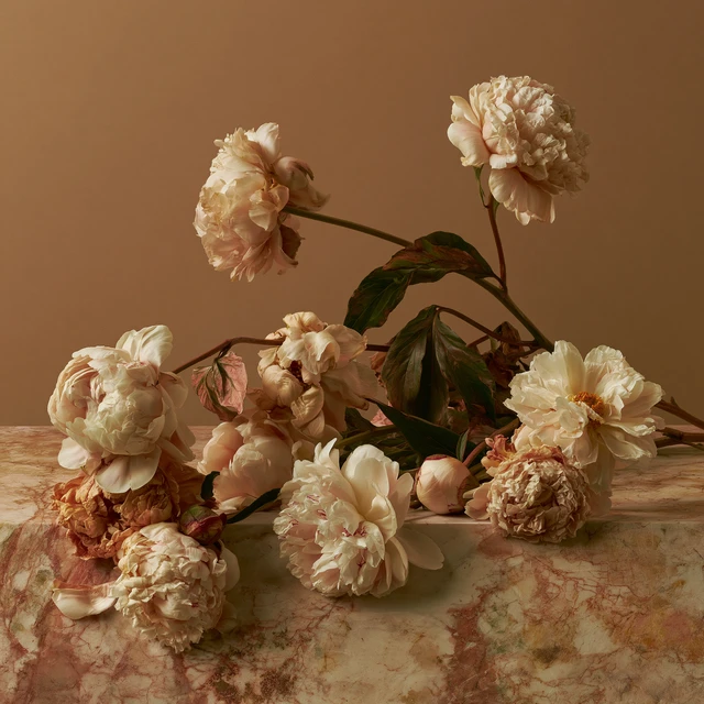 Peonies On Marble