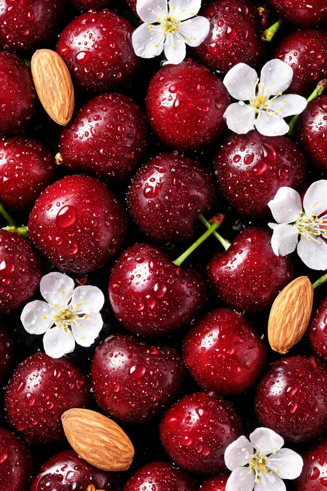 Fresh Glossy Cherries